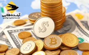 ویزای خود حمایتی